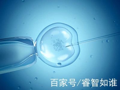 蘇懷安